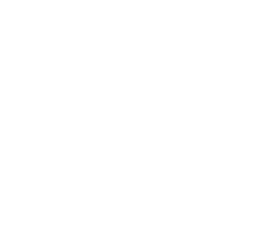 Pudavix