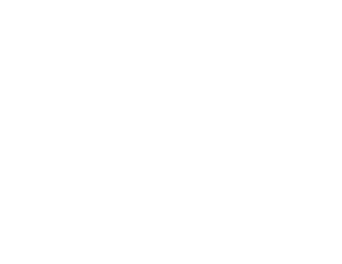 Seinayam